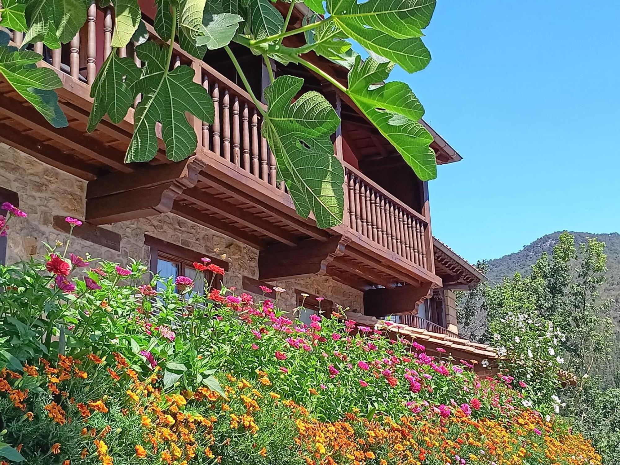 Apartamentos Calm & Nature - Adults Only Cabezon de Liebana Ngoại thất bức ảnh