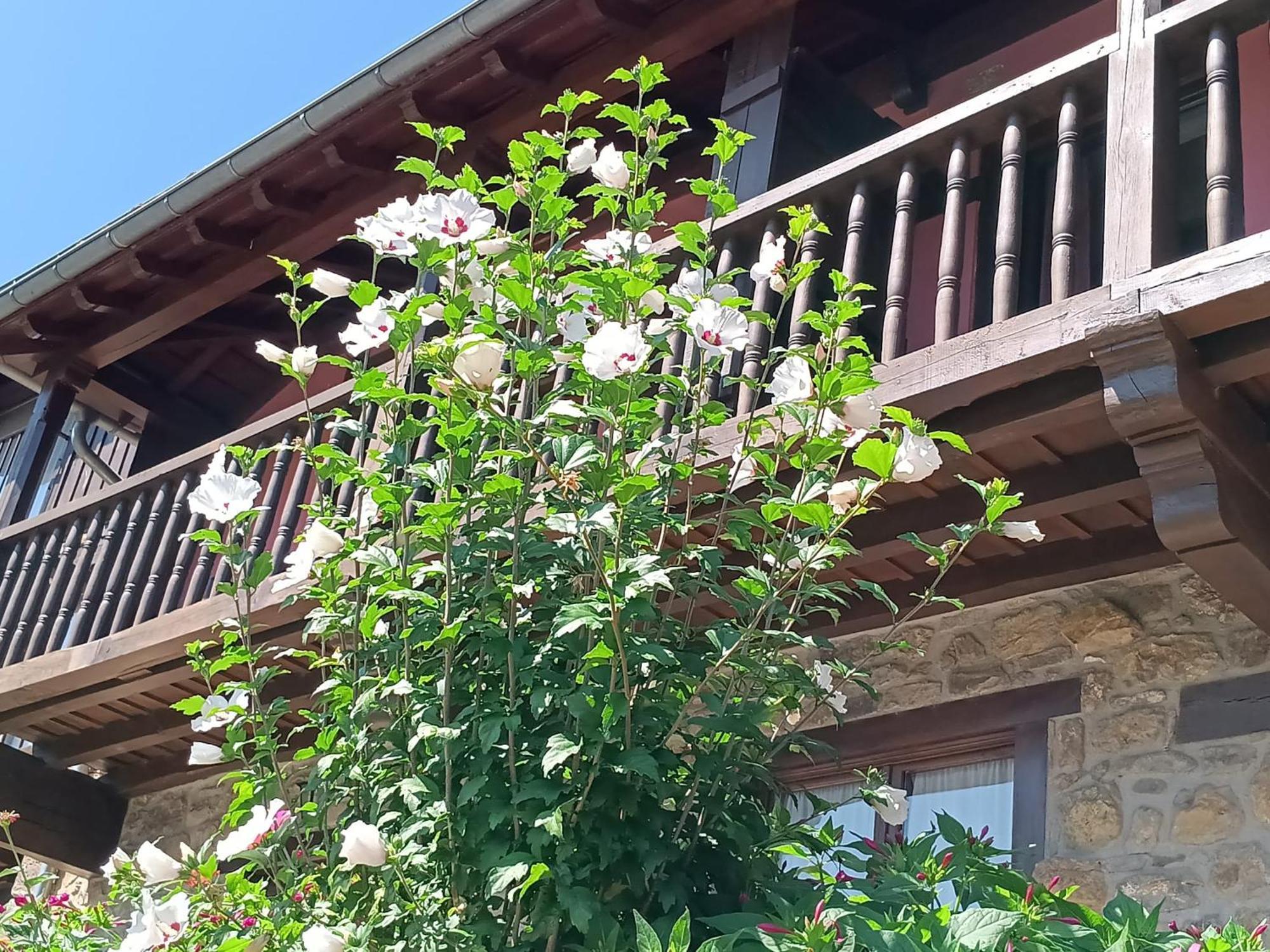 Apartamentos Calm & Nature - Adults Only Cabezon de Liebana Ngoại thất bức ảnh