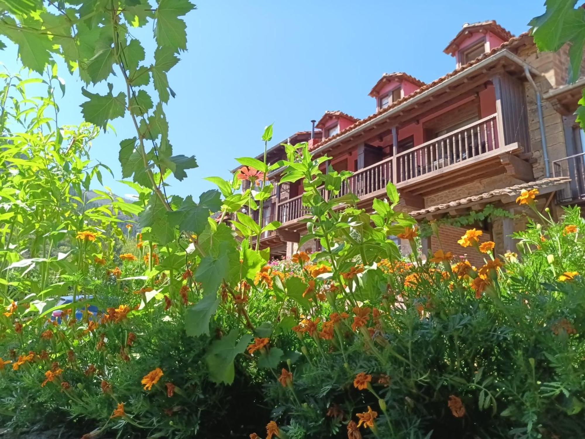 Apartamentos Calm & Nature - Adults Only Cabezon de Liebana Ngoại thất bức ảnh