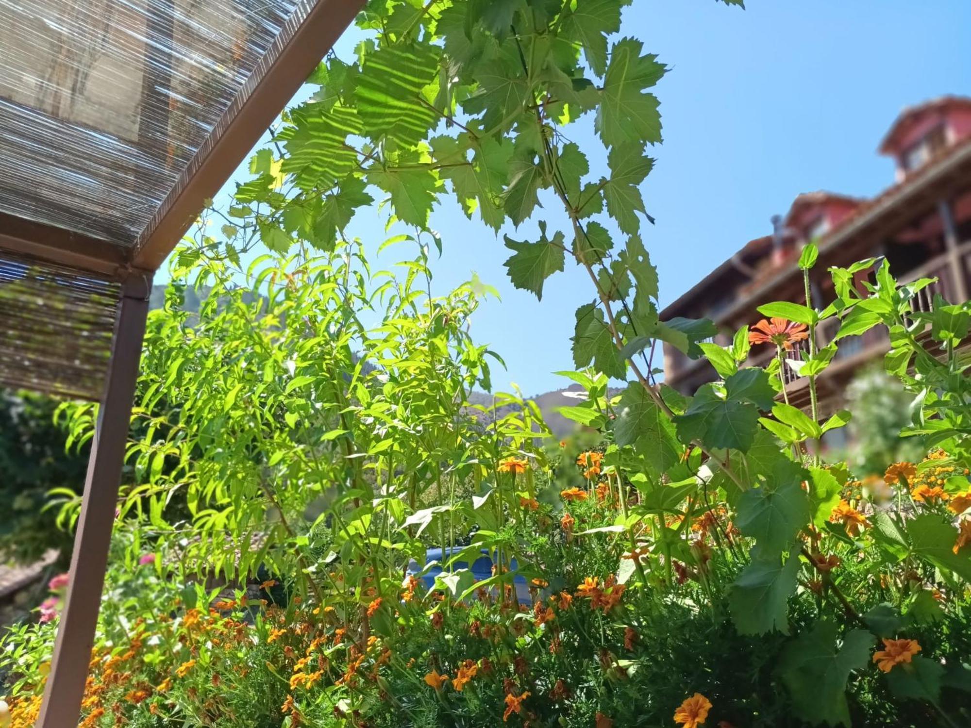 Apartamentos Calm & Nature - Adults Only Cabezon de Liebana Ngoại thất bức ảnh